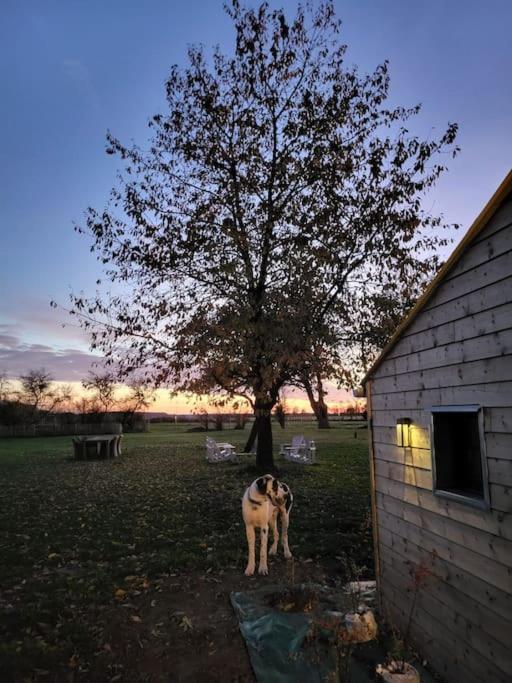 Gite Au Haras D'Agathe Et Ses Princes Les Barils Bagian luar foto