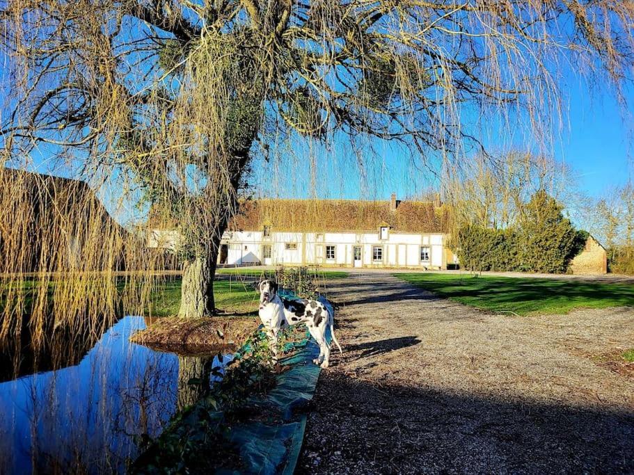 Gite Au Haras D'Agathe Et Ses Princes Les Barils Bagian luar foto