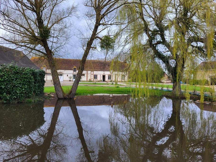 Gite Au Haras D'Agathe Et Ses Princes Les Barils Bagian luar foto